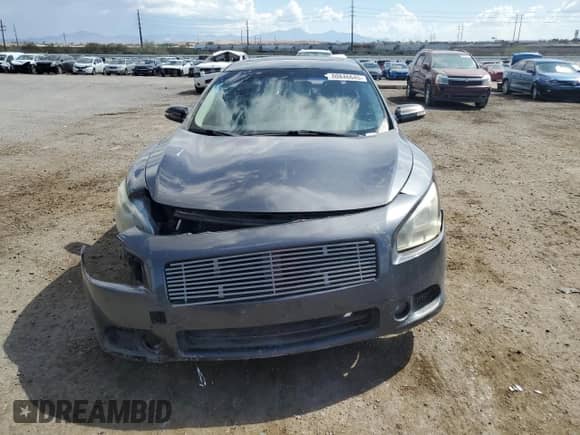 2013 Nissan Maxima SV with VIN 1N4AA5AP8DC830651, listed as a Copart auction lot 80846645 with Not provided miles and Clean title. Bid and sale history available at DreamBid. Image 5.