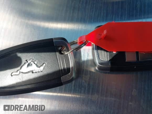 2018 Ford Mustang EcoBoost with VIN 1FA6P8TH7J5110673, listed as a IAAI auction lot 43053620 with 52,545 mi miles and . Bid and sale history available at DreamBid. Image 11.