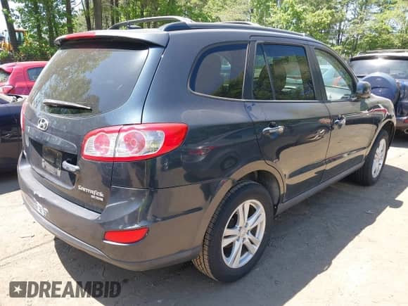 2010 Hyundai Santa Fe Limited with VIN 5NMSK3AB3AH371739, listed as a IAAI auction lot 42135560 with 136,459 mi miles and . Bid and sale history available at DreamBid. Image 4.