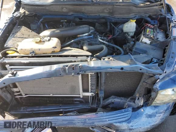 2003 Dodge 1500 ST z VIN 1D7HA18ZX3S205509, wystawiony jako Copart lot #42746645 z przebiegiem 182 656 mil mil oraz Szkoda całkowita • Salvage title. Historia ofert i sprzedaży dostępna na DreamBid. Obrazek 11.