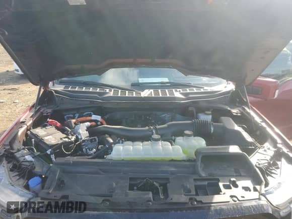 2024 Ford F-150 Lariat with VIN 1FTFW5LD6RFB96248, listed as a Copart auction lot 69278555 with 8,951 mi miles and Salvage title. Bid and sale history available at DreamBid. Image 11.