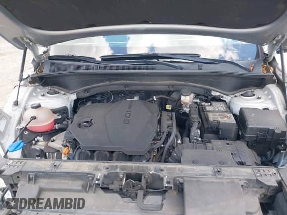 2021 Hyundai Santa Fe SEL z VIN 5NMS2DAJ6MH350076, wystawiony jako IAAI lot #43116374 z przebiegiem 45 457 mil mil oraz . Historia ofert i sprzedaży dostępna na DreamBid. Obrazek 10.