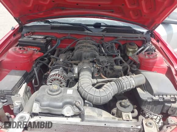 2006 Ford Mustang Standard с VIN 1ZVFT84N865241237, выставлен на аукционе IAAI как лот 42682629 с пробегом 218 861 миль миль и . История ставок и продаж доступна на DreamBid. Изображение 10.