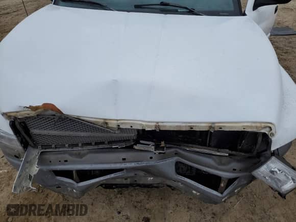 2000 Dodge 1500 Work Special с VIN 1B7HC16X4YS637929, выставлен на аукционе Copart как лот 43531415 с пробегом 184 641 миль миль и Списание • Salvage title. История ставок и продаж доступна на DreamBid. Изображение 13.