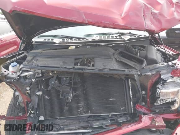 2019 Ford F-150 XL with VIN 1FTEX1EPXKKD02917, listed as a IAAI auction lot 43147307 with 20,628 mi miles and . Bid and sale history available at DreamBid. Image 10.