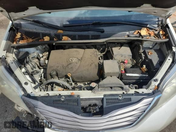 2017 Toyota Sienna XLE Auto Access Seat with VIN 5TDYZ3DC7HS826707, listed as a Copart auction lot 81483095 with 75,844 mi miles and Salvage title. Bid and sale history available at DreamBid. Image 11.