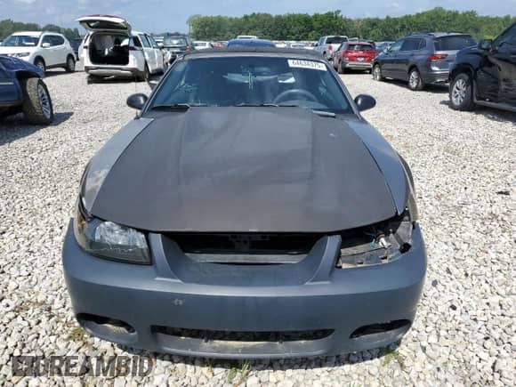 2002 Ford Mustang GT Deluxe z VIN 1FAFP45X02F191248, wystawiony jako Copart lot #64634375 z przebiegiem Nie podano mil oraz Czysty tytuł • Clean title. Historia ofert i sprzedaży dostępna na DreamBid. Obrazek 5.