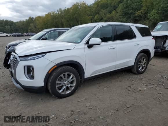 2021 Hyundai Palisade SE с VIN KM8R1DHE7MU210696, выставлен на аукционе Copart как лот 72760414 с пробегом 90 150 миль миль и Списание • Salvage title. История ставок и продаж доступна на DreamBid. Изображение 1.