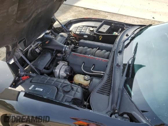 1998 Chevrolet Corvette с VIN 1G1YY22G8W5128573, выставлен на аукционе Copart как лот 70924634 с пробегом 124 806 миль миль и Чистый • Clean title. История ставок и продаж доступна на DreamBid. Изображение 11.