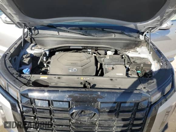 2025 Hyundai Palisade SEL with VIN KM8R2DGE8SU931461, listed as a Copart auction lot 69835635 with 9,576 mi miles and Clean title. Bid and sale history available at DreamBid. Image 12.