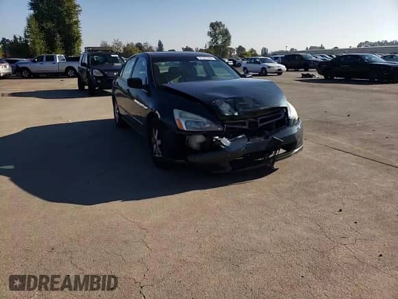 2005 Honda Accord EX-L with VIN 1HGCM66525A057617, listed as a Copart auction lot 81527435 with 166,868 mi miles and Salvage title. Bid and sale history available at DreamBid. Image 13.