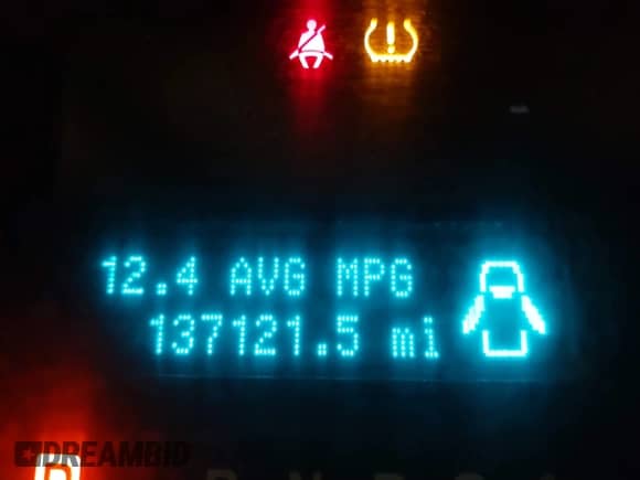 2010 Ford F-150 XL z VIN 1FTEX1EW8AFC67521, wystawiony jako IAAI lot #41408030 z przebiegiem 137 121 mil mil oraz . Historia ofert i sprzedaży dostępna na DreamBid. Obrazek 16.