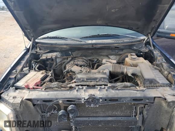 2011 Ford F-150 XL z VIN 1FTEW1CM6BFD08072, wystawiony jako Copart lot #81715505 z przebiegiem 240 475 mil mil oraz Czysty tytuł • Clean title. Historia ofert i sprzedaży dostępna na DreamBid. Obrazek 11.