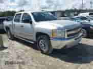 2012 Chevrolet Silverado 1500 LS z VIN 3GCPCREA4CG229602, wystawiony jako IAAI lot #42818433 z przebiegiem 294 243 mil mil oraz . Historia ofert i sprzedaży dostępna na DreamBid. Obrazek 1.