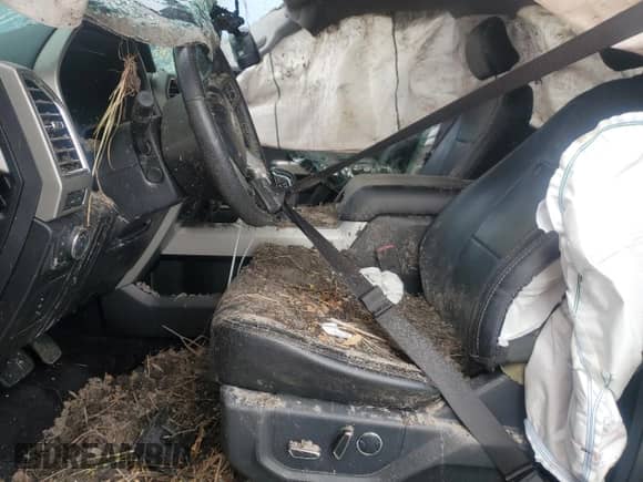 2016 Ford F-150 XLT z VIN 1FTEW1EF0GFD13273, wystawiony jako Copart lot #86262055 z przebiegiem Nie podano mil oraz Nie do naprawy • Non repairable. Historia ofert i sprzedaży dostępna na DreamBid. Obrazek 7.