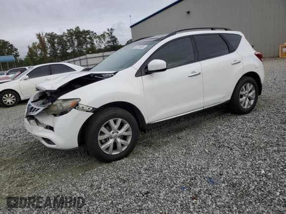 2013 Nissan Murano SL with VIN JN8AZ1MU3DW209852, listed as a Copart auction lot 82254865 with 122,694 mi miles and Salvage title. Bid and sale history available at DreamBid. Image 1.