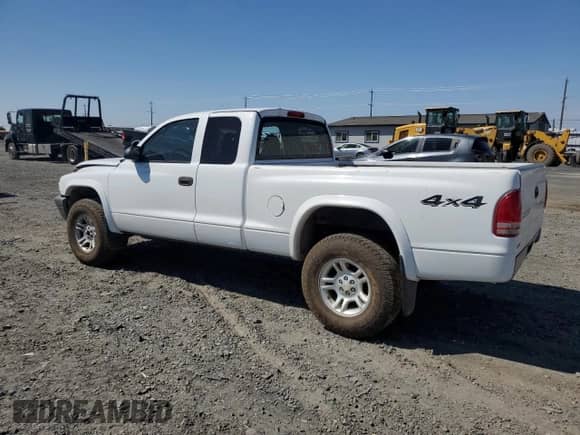 2004 Dodge Dakota with VIN 1D7HG12K04S713712, listed as a Copart auction lot 66125515 with 188,799 mi miles and Salvage title. Bid and sale history available at DreamBid. Image 2.