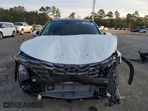 2024 Hyundai Tucson Limited с VIN 5NMJE3DE5RH412599, выставлен на аукционе Copart как лот 70316805 с пробегом 12 501 миль миль и Списание • Salvage title. История ставок и продаж доступна на DreamBid. Изображение 5.