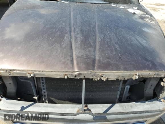 1998 Dodge 1500 с VIN 1B7HC13Y9WJ164965, выставлен на аукционе Copart как лот 80208924 с пробегом Не указан миль и На запчасти • Non repairable. История ставок и продаж доступна на DreamBid. Изображение 11.