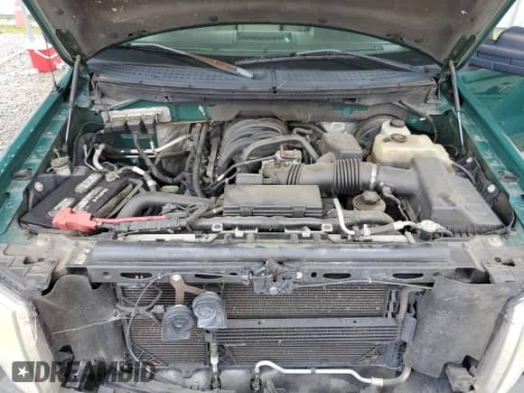 2010 Ford F-150 XL with VIN 1FTMF1C83AKB82273, listed as a Copart auction lot 66844115 with Not provided miles and Salvage title. Bid and sale history available at DreamBid. Image 11.