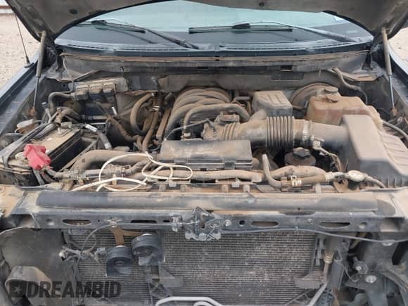 2009 Ford F-150 XL with VIN 1FTRW12829FA57616, listed as a IAAI auction lot 43100309 with 233,253 mi miles and . Bid and sale history available at DreamBid. Image 10.