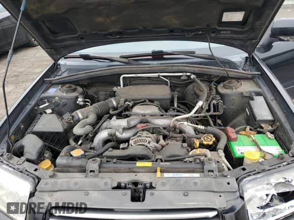 2008 Subaru Forester X with VIN JF1SG656X8H717206, listed as a Copart auction lot 67899505 with 219,526 mi miles and Salvage title. Bid and sale history available at DreamBid. Image 12.