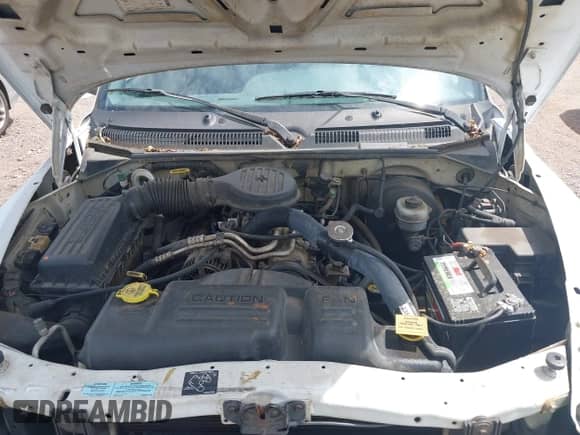 2000 Dodge Dakota Sport with VIN 1B7GL2AX1YS707993, listed as a IAAI auction lot 42670217 with 172,037 mi miles and . Bid and sale history available at DreamBid. Image 10.
