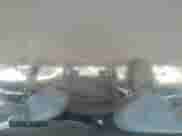 2016 Chevrolet Malibu LT с VIN 1G1ZF5SX1GF358088, выставлен на аукционе Copart как лот 66557855 с пробегом 150 104 миль миль и Списание • Salvage title. История ставок и продаж доступна на DreamBid. Изображение 14.