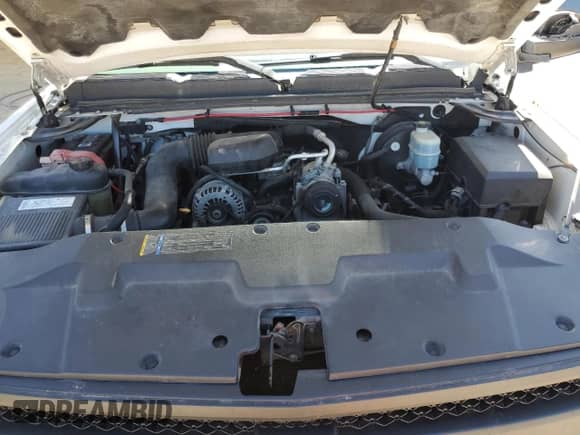 2008 Chevrolet Silverado 1500 Work Truck with VIN 1GCEC19X58Z290133, listed as a Copart auction lot 50513115 with 182,026 mi miles and Salvage title. Bid and sale history available at DreamBid. Image 13.
