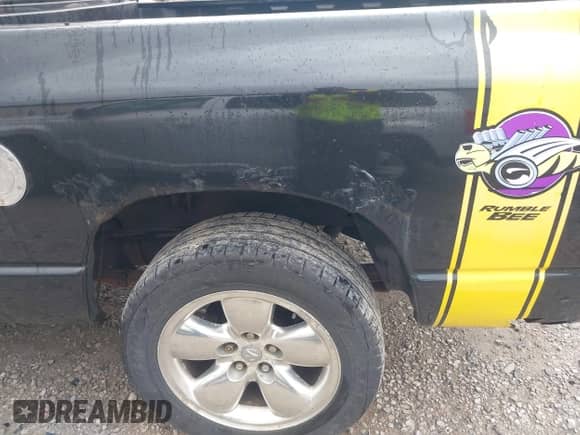 2003 Dodge 1500 ST с VIN 1D7HA18D03S273953, выставлен на аукционе IAAI как лот 42309606 с пробегом 222 432 миль миль и . История ставок и продаж доступна на DreamBid. Изображение 12.