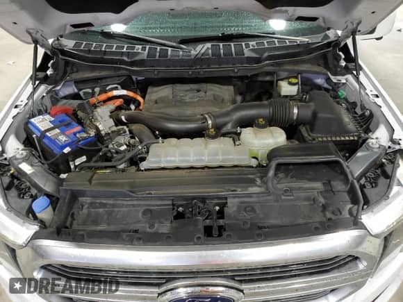 2021 Ford F-150 XL with VIN 1FTFW1ED0MFA94104, listed as a Copart auction lot 89804255 with 79,529 mi miles and Salvage title. Bid and sale history available at DreamBid. Image 11.