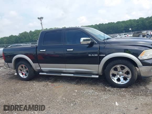 2010 Dodge 1500 SLT with VIN 1D7RB1CT2AS121461, listed as a IAAI auction lot 42615319 with 225,700 mi miles and . Bid and sale history available at DreamBid. Image 14.
