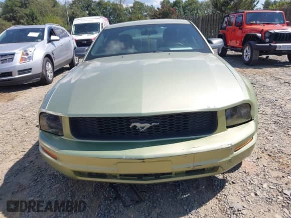 2006 Ford Mustang GT Deluxe с VIN 1ZVHT82H365156215, выставлен на аукционе IAAI как лот 43117357 с пробегом 227 291 миль миль и . История ставок и продаж доступна на DreamBid. Изображение 12.
