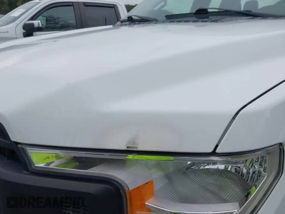 2018 Ford F-150 XLT with VIN 1FTEX1EP0JKE25835, listed as a IAAI auction lot 43324659 with 180,081 mi miles and . Bid and sale history available at DreamBid. Image 20.