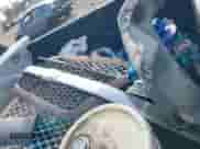 2004 Chevrolet Colorado Z71 with VIN 1GCCS196848117448, listed as a IAAI auction lot 41565190 with 221,254 mi miles and . Bid and sale history available at DreamBid. Image 12.