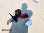 2018 Chevrolet Sonic LT с VIN 1G1JD6SHXJ4121300, выставлен на аукционе Copart как лот 72057215 с пробегом 102 547 миль миль и Чистый • Clean title. История ставок и продаж доступна на DreamBid. Изображение 13.