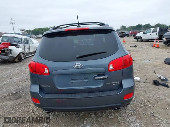 2009 Hyundai Santa Fe Limited с VIN 5NMSH13E39H325673, выставлен на аукционе IAAI как лот 43173498 с пробегом 159 417 миль миль и . История ставок и продаж доступна на DreamBid. Изображение 17.