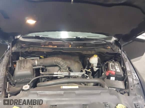 2010 Dodge 1500 SLT with VIN 1D7RV1GT5AS252157, listed as a IAAI auction lot 43045754 with 160,830 mi miles and . Bid and sale history available at DreamBid. Image 10.