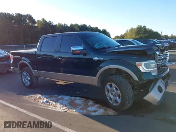 2013 Ford F-150 XL with VIN 1FTFW1EF9DKE08938, listed as a IAAI auction lot 43392604 with 166,881 mi miles and . Bid and sale history available at DreamBid. Image 14.