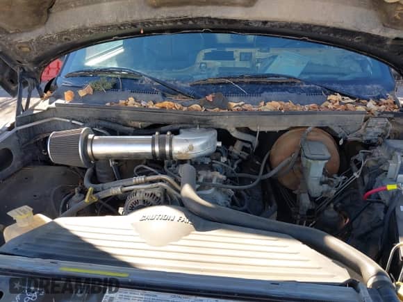 1997 Dodge 1500 with VIN 3B7HF13Z8VG780656, listed as a IAAI auction lot 41006137 with 251,562 mi miles and . Bid and sale history available at DreamBid. Image 10.
