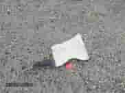 2003 Honda Accord LX with VIN 1HGCM56343A035592, listed as a IAAI auction lot 43257763 with 157,465 mi miles and . Bid and sale history available at DreamBid. Image 12.