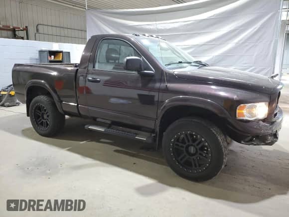 2004 Dodge 1500 SLT with VIN 1D7HU16D44J149136, listed as a Copart auction lot 60623995 with 113,066 mi miles and Salvage title. Bid and sale history available at DreamBid. Image 4.