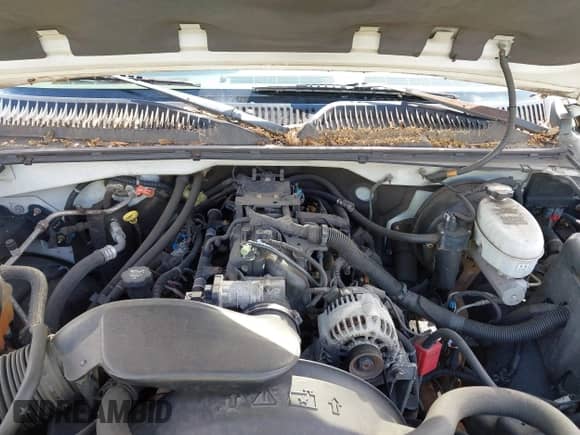 2003 GMC Sierra 1500 SLE с VIN 2GTEK19TX31166361, выставлен на аукционе IAAI как лот 42567055 с пробегом 150 985 миль миль и . История ставок и продаж доступна на DreamBid. Изображение 10.