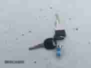 1994 Chevrolet S-10 with VIN 1GCCS1446R8200017, listed as a IAAI auction lot 43430382 with 151,542 mi miles and . Bid and sale history available at DreamBid. Image 11.