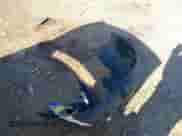 2015 Chrysler 300 S с VIN 2C3CCABG0FH853608, выставлен на аукционе IAAI как лот 41523060 с пробегом 91 153 миль миль и . История ставок и продаж доступна на DreamBid. Изображение 12.