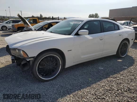 2011 Dodge Charger Road/Track z VIN 2B3CL5CT1BH558639, wystawiony jako Copart lot #81810095 z przebiegiem 81 793 mil mil oraz Szkoda całkowita • Salvage title. Historia ofert i sprzedaży dostępna na DreamBid. Obrazek 1.