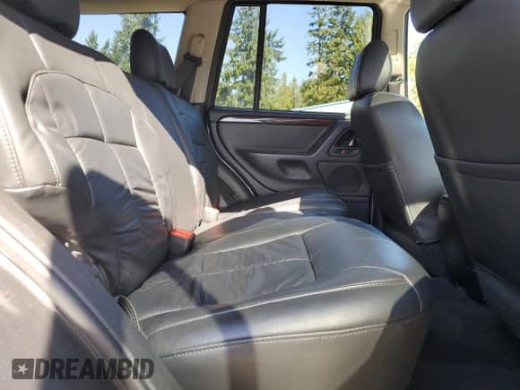 2002 Jeep Grand Cherokee Limited z VIN 1J8GW58J32C256389, wystawiony jako Copart lot #80217465 z przebiegiem 129 610 mil mil oraz Szkoda całkowita • Salvage title. Historia ofert i sprzedaży dostępna na DreamBid. Obrazek 11.