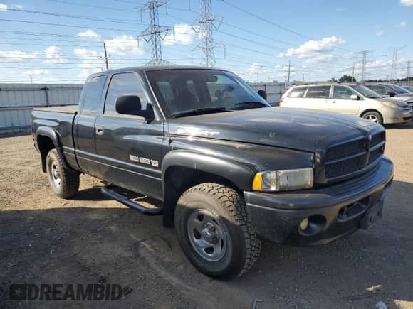 2000 Dodge 1500 with VIN 1B7HF13Z8YJ147268, listed as a Copart auction lot 84050655 with 244,229 mi miles and Clean title. Bid and sale history available at DreamBid. Image 4.