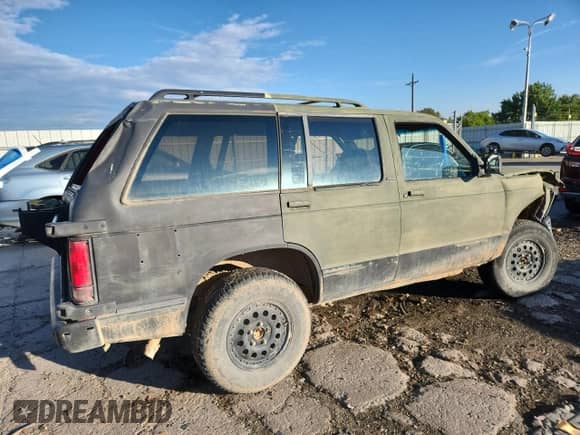 1994 Chevrolet Blazer LT z VIN 1GNDT13W7R2114715, wystawiony jako Copart lot #70668345 z przebiegiem 191 281 mil mil oraz Szkoda całkowita • Salvage title. Historia ofert i sprzedaży dostępna na DreamBid. Obrazek 3.