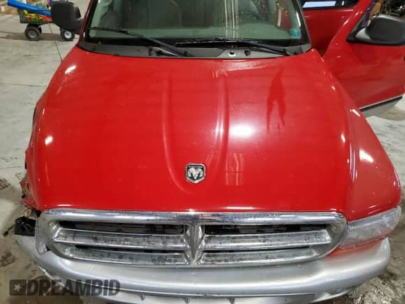 2003 Dodge Dakota SLT with VIN 1D7HG48N63S315745, listed as a Copart auction lot 45847635 with 150,584 mi miles and Salvage title. Bid and sale history available at DreamBid. Image 12.